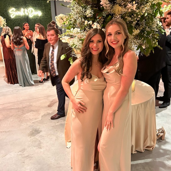 BHLDN - Remy Dress - Champagne - Size 2 - Picture 5 of 5